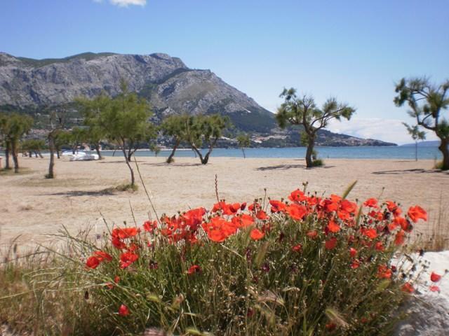 Apartment Danka Omis Bagian luar foto